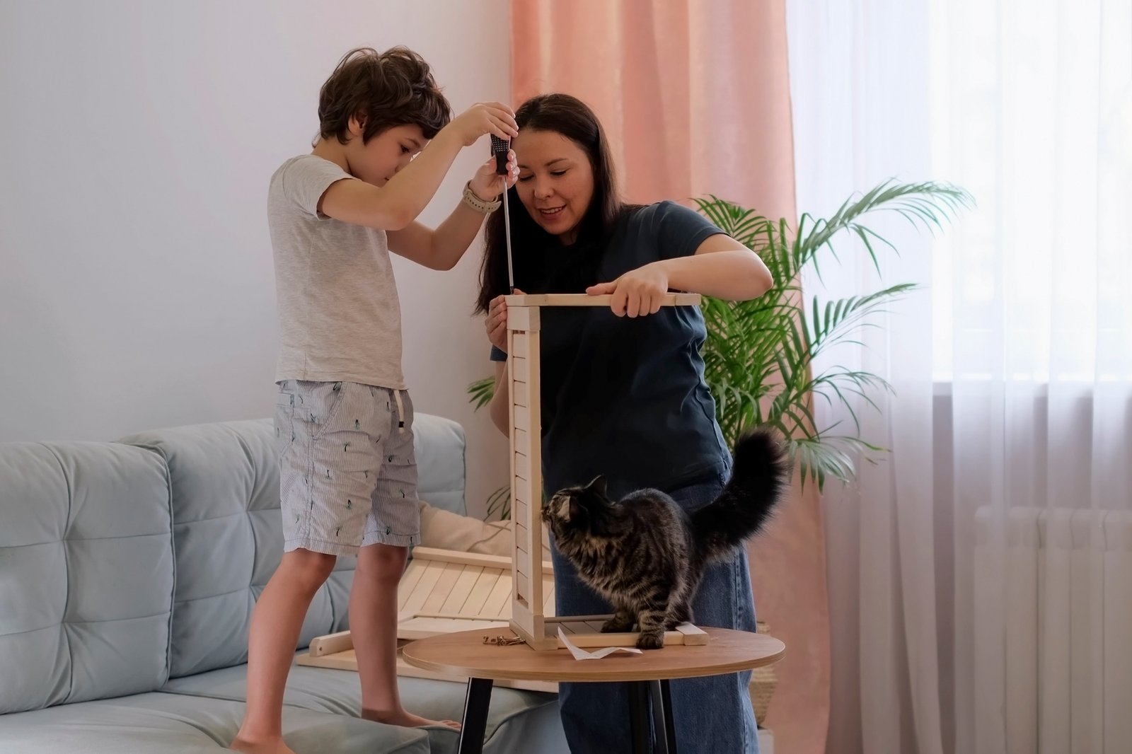 Katze das Kratzen an Möbeln abgewöhnen